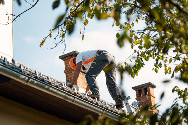 Best Storm Damage Roof Repair  in Punta Rassa, FL