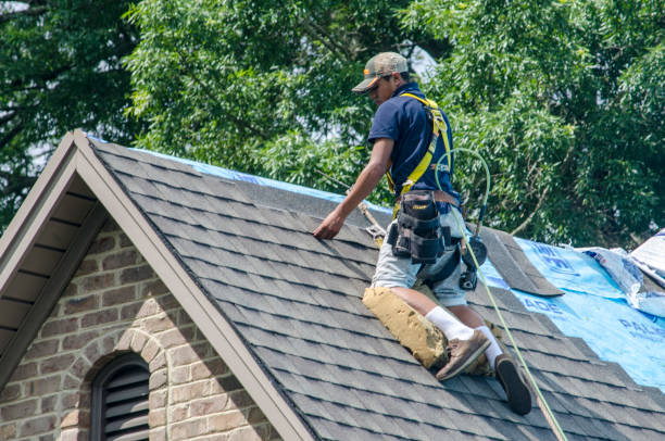 Best Roof Leak Repair  in Punta Rassa, FL